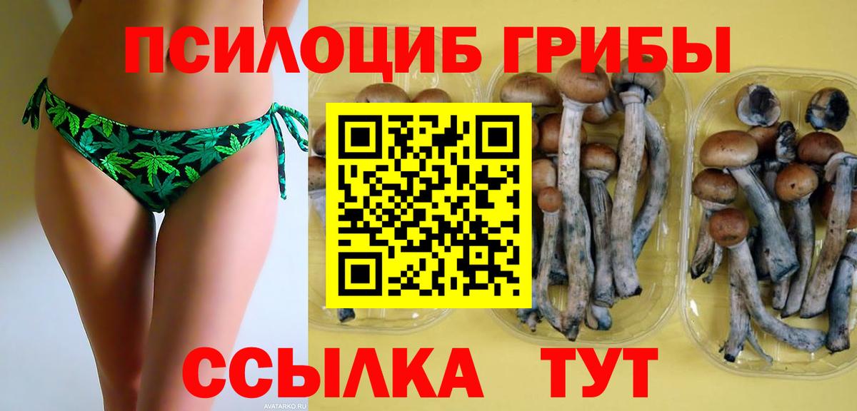 Ярцево  Галлюциногенные грибы Magic Shrooms  Вход с VPN  Псилоцибиновые грибы прущие грибы 